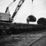 Woods Department. Loading prepwood on train at Terra Nova River. September 1956