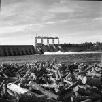 Woods - Exploit's Dam September 1956