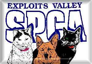 Exploits Valley SPCA